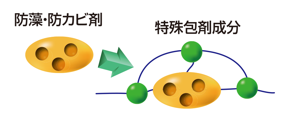 防藻・防カビ性