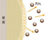 沖縄県西表島屋外暴露試験場