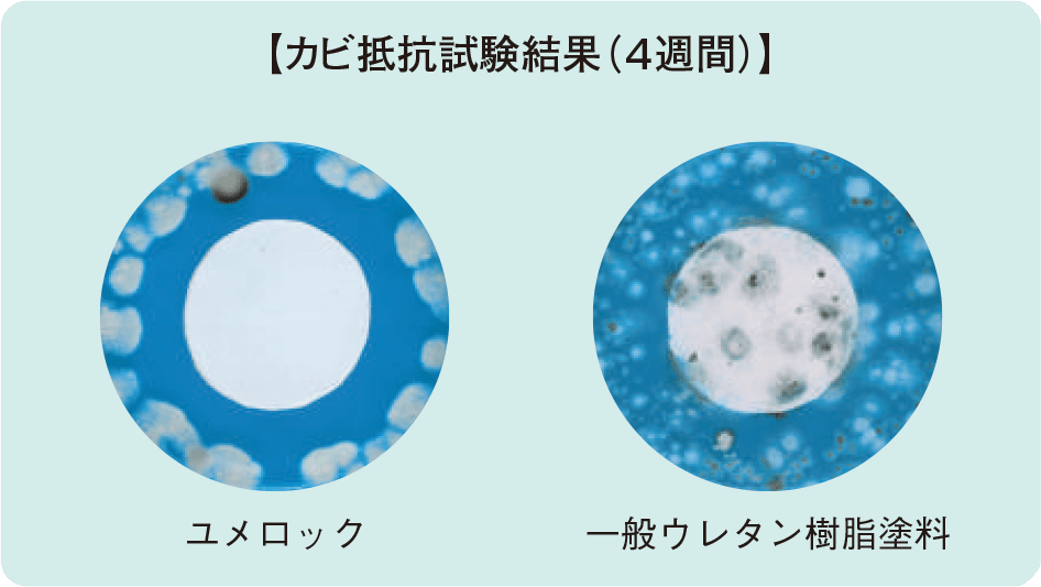 カビ抵抗試験結果